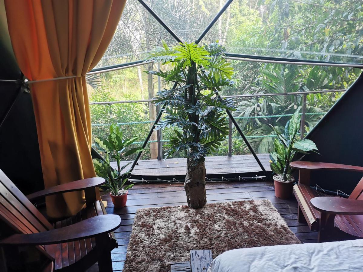 Momotus Glamping Hotel Florencia Екстериор снимка