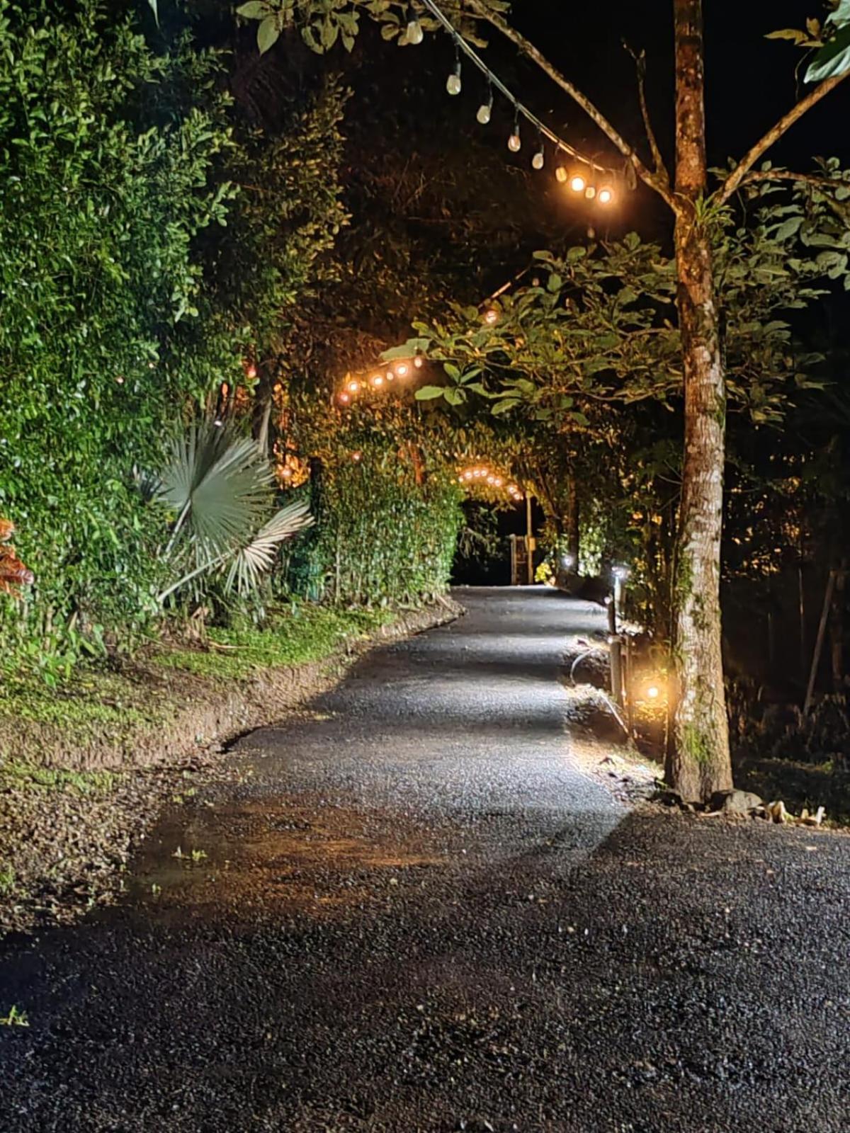 Momotus Glamping Hotel Florencia Екстериор снимка